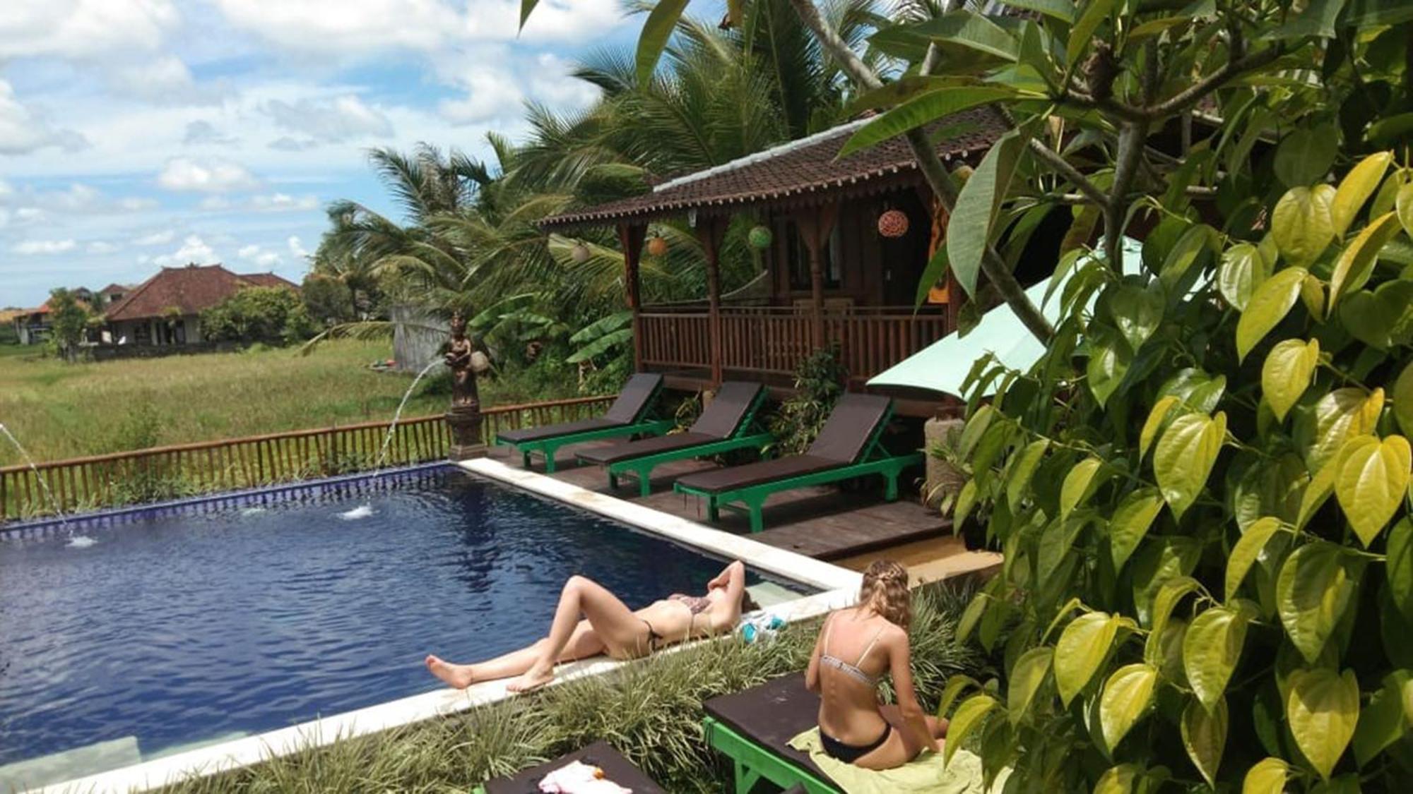 Green Paddy Hostel & Villa Ubud Eksteriør billede