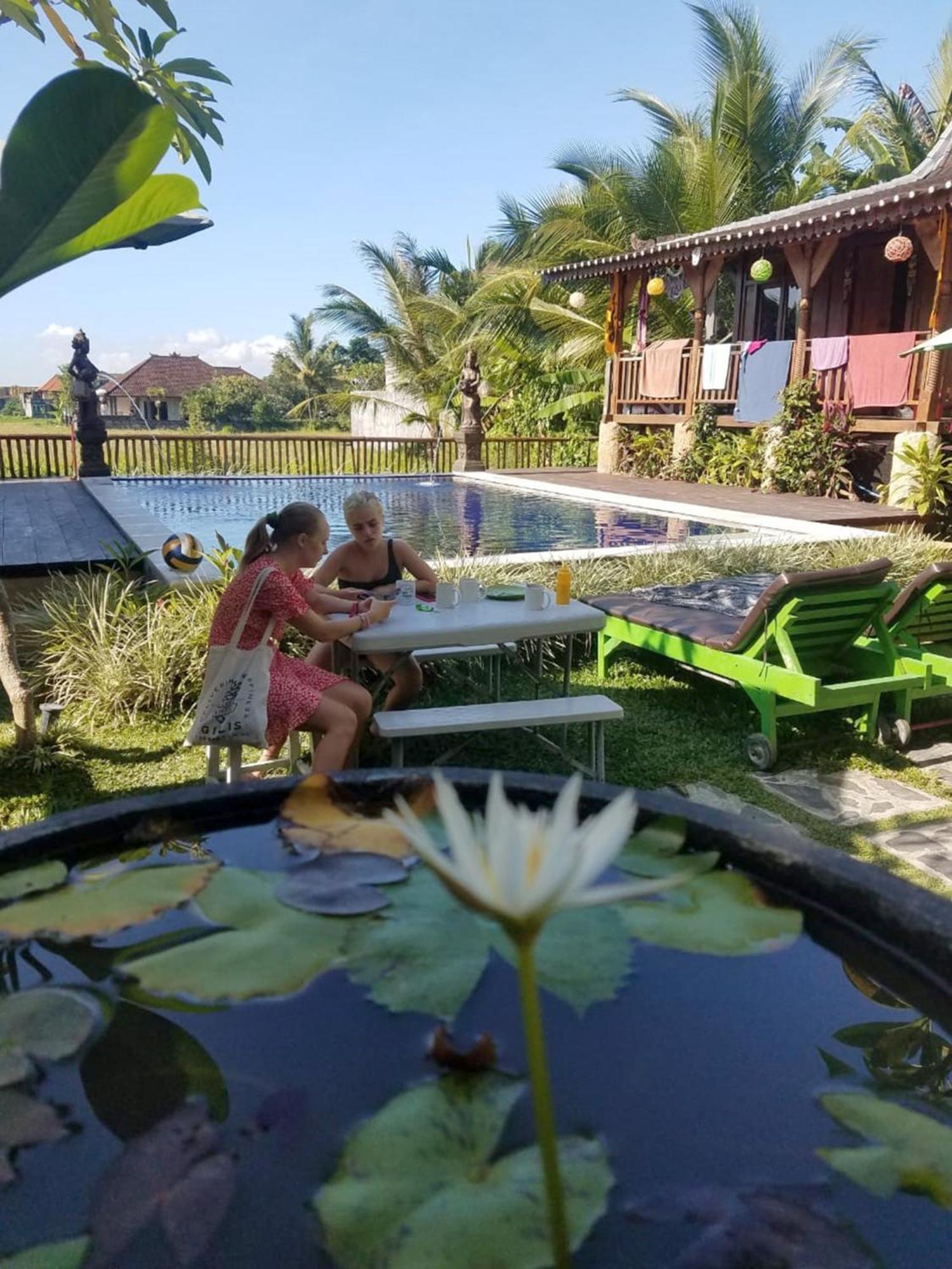 Green Paddy Hostel & Villa Ubud Eksteriør billede