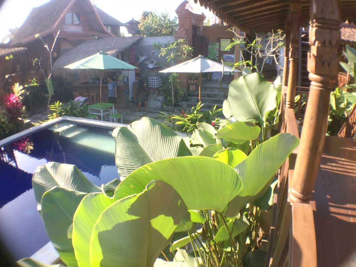 Green Paddy Hostel & Villa Ubud Eksteriør billede